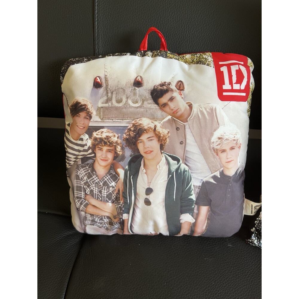 One Direction 1D Pillow - Photo Print, Wall Hanging ~2012 Decor 10”
